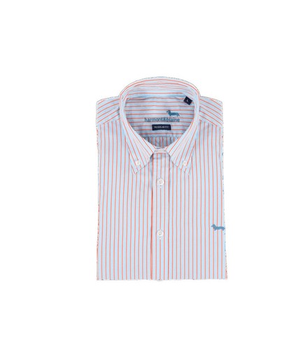 Harmont blaine - &,