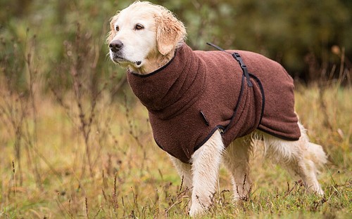 Dryup cape hundebademantel - hundebademantel,