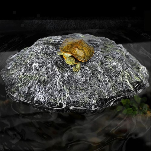 Schildkröten-Sonnenplattform