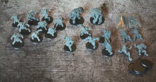 Chaos chosen hornstorm blood - chaos,