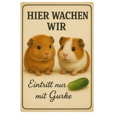 Meerschweinchen Tierschild Blechschild |20x30cm | Dekoschild Schild Metallschild