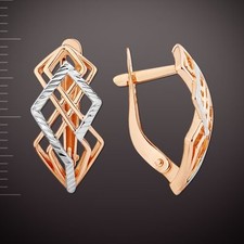BICOLOR Gold 585 OHRRINGE