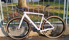 Rose Backroad GRX RX810  &