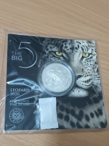 Big five leopard - 5, 2020
