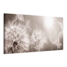 PUSTEBLUME NATUR Wandbilder