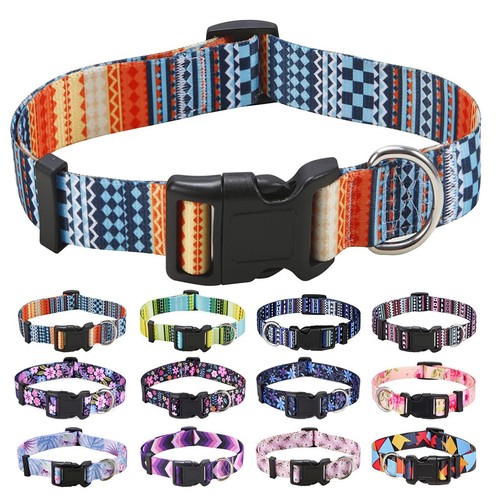Hundehalsband verstellbar - hundehalsband,