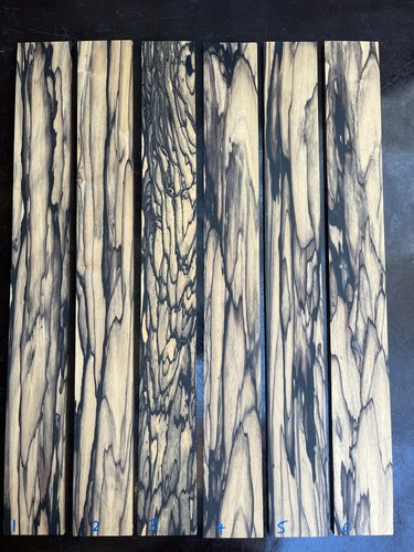 Pale moon ebony saitige - pale,