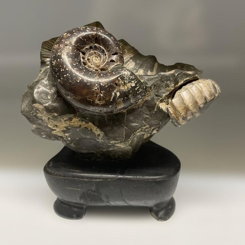 Suiseki bonseki bonsai - suiseki,