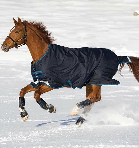Amigo bravo turnout heavy - amigo®,