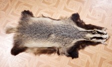 Schönes Dachsfell Badger Fur