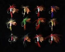 12 Fliegen, Fliegenfischen, Trockenfliegen, Forelle, Lachs F1