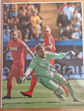 Timo Horn    1. FC Köln    Original Autogramm DINA4