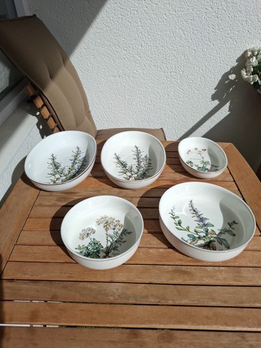 Villeroy boch botanica - &,