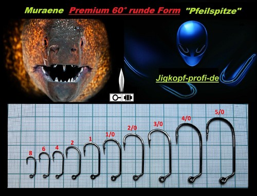 Muraene premium runde - muraene,