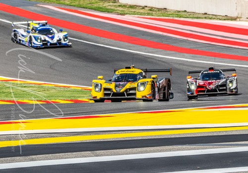 Elms lmp3 ligier js - ligier,