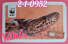 WWF - Nördlicher Baumpython 