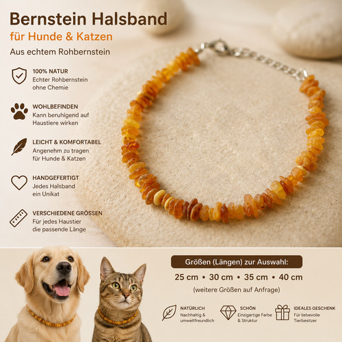 Bernstein halsband hund katze - bernstein,