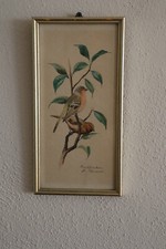 Bild Vogelmotiv Buchfinker Aquarell?? handsigniert aus Nachlass