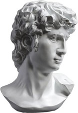 PIGPIGFLY Michelangelos David