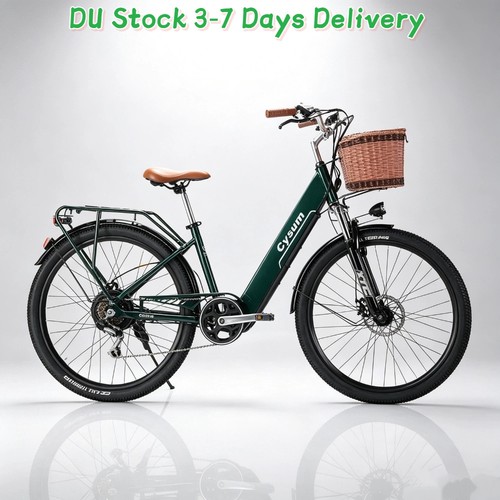 250w citybike lcd - 250w,