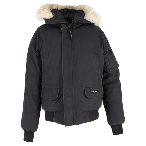Canada goose chilliwack - goose,