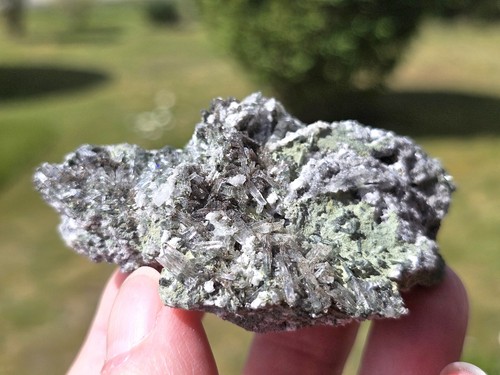 Alpine kleinstufe - alpine, –