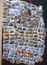 REWE WWF - 5 Sticker aus 168 verschiedenen "WWF Tier Abenteuer" Bildern wählen