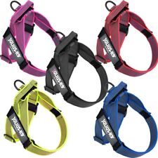 Julius K9 IDC Gurtbandgeschirr mit Logofeld - leichtes Hundegeschirr