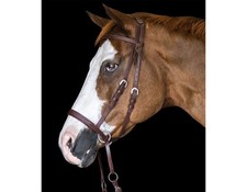 BITLESS BRIDLE Western Beta Braun Pony