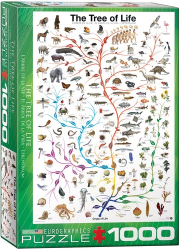 Eurographics puzzle der - eurographics,