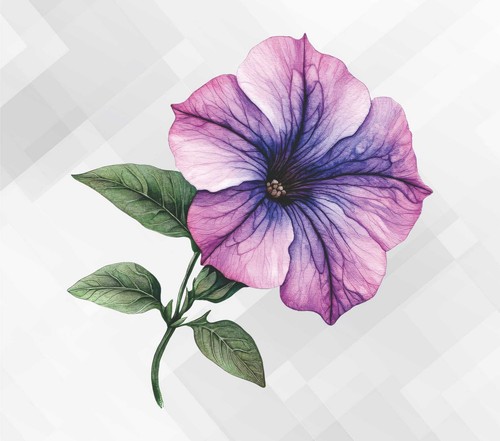 Aquarell petunie blume wand - aquarell,