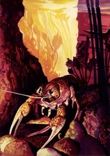 Künstler Ak Wendt, Krebs im Hinterhalt, Curta und Co GmbH - 11361222