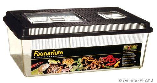 Faunarium mini terrarium aus - /,