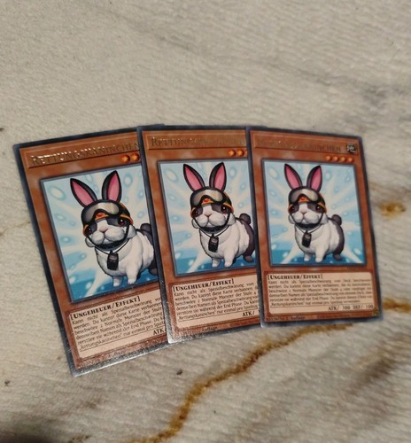 Yugioh rettungskaninchen - x,