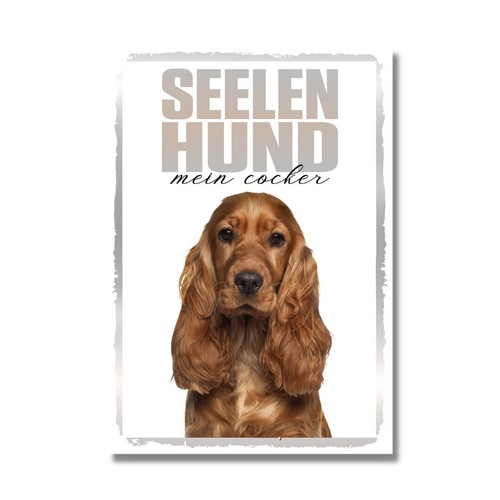 Cocker spaniel seelenhund dog - spaniel,