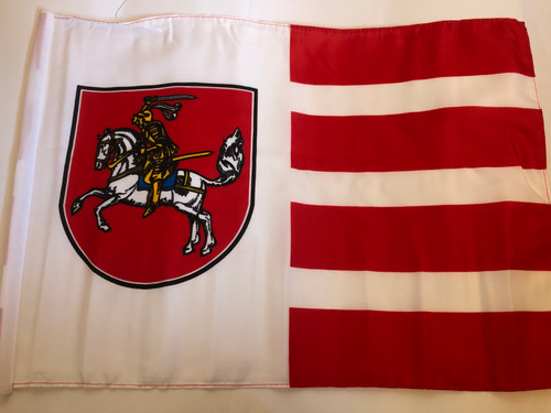Dithmarschen flagge 30x45 - flagge, cm