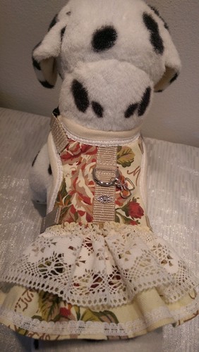 Hundegeschirr softgeschirr - hundegeschirr, s