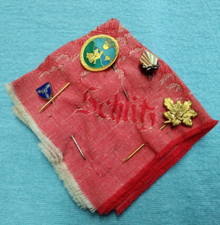 Anstecker Anstecknadeln Odenwaldclub Tuch Hessentag Schitz Schweden HVT  U24