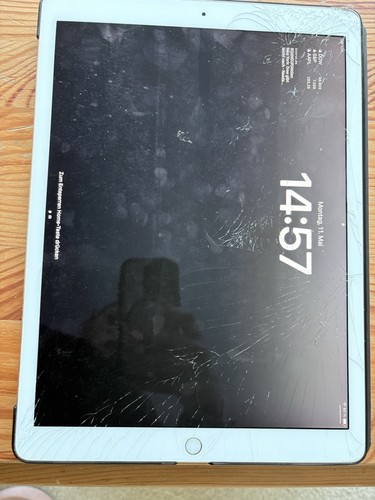 Apple ipad pro - apple, zoll