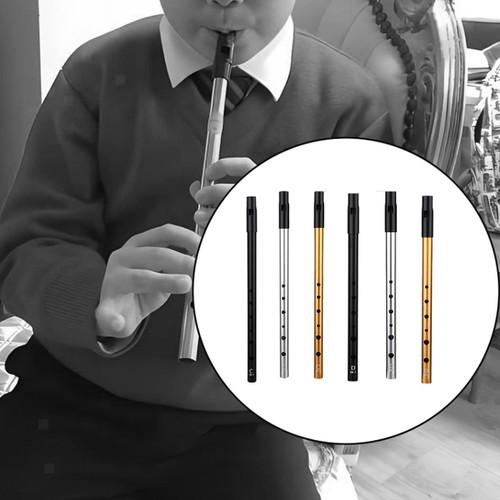 Irish whistle flute - irish,