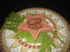 Stern zum Bepflanzen Schale braun Pflanzkübel 25 cm Weihnachten Deko Topf 2 Wahl