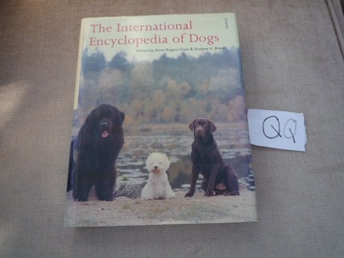 Vintage book international - book,