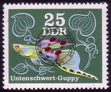 2179 Zierfische Guppys 25 Pf O