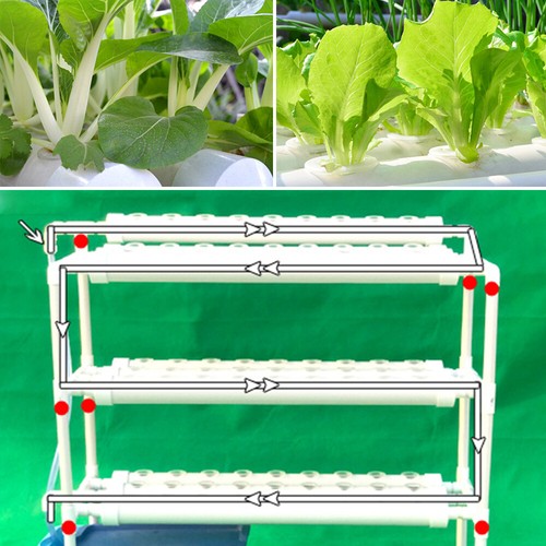 Hydroponic system - hydroponic,