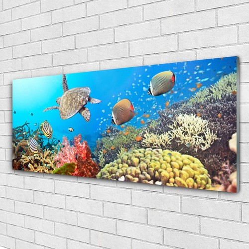 Acrylglasbilder wandbilder - acrylglasbilder,