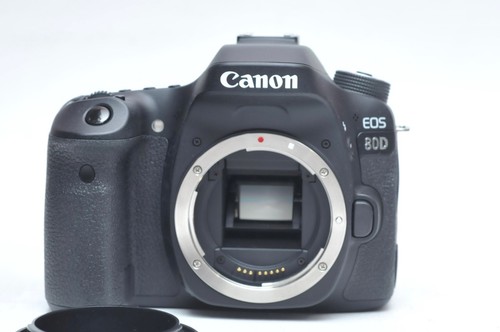 Canon eos 80d 2mp - canon,