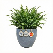 Teramico Pflanzgefäß Keramik