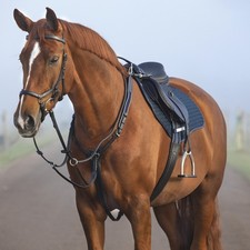 Horseware Micklem Brustplatte