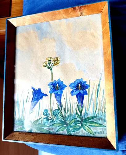 Bild gemälde - bild, 🎨gemälde