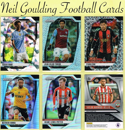 Panini prizm premier - prizm,